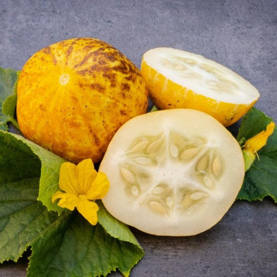 lemon cucumber seeds
