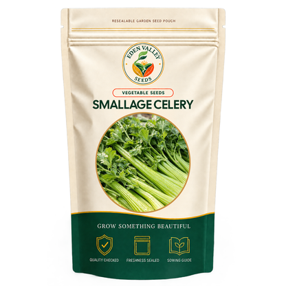 Smallage Celery Seeds for planting