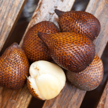Salak fruit and salak palm showing reddish-brown scaly snake fruit, pale edible flesh, and long green tropical palm leaves.