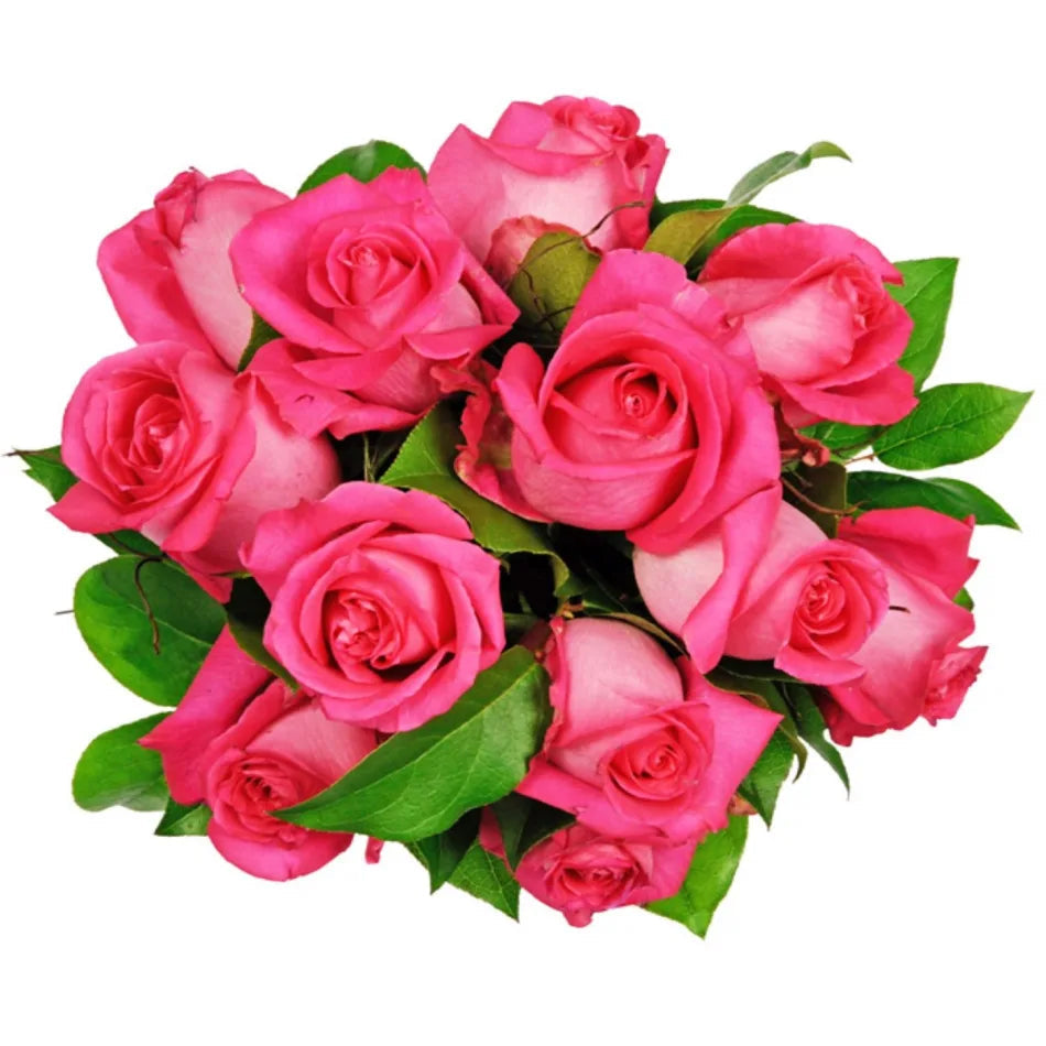 Soft Pink flower seeds