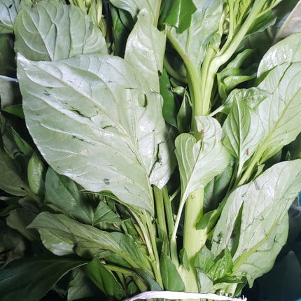 Soko vegetable plants growing with fresh green leaves in a home vegetable garden, illustrating leafy growth and cultivation from seed.