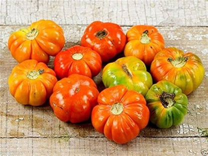 Ruffled Red Eggplant Vegetable Seeds for Planting – Heirloom Non-GMO Garden Seeds