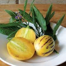 pepino pear seeds