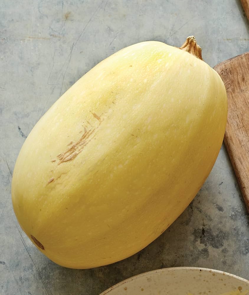 Spaghetti Squash Seeds