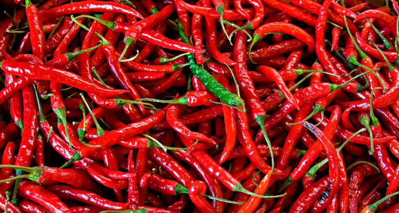 Red Pepper Seeds for Planting – Heirloom Non-GMO Garden Seeds
