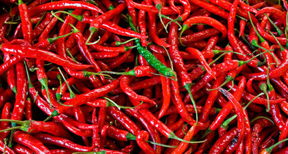 Red Pepper Seeds for Planting – Heirloom Non-GMO Garden Seeds