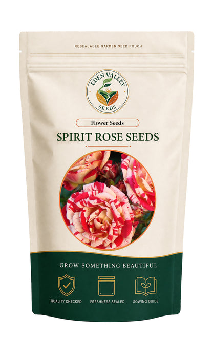 Spirit Rose Seeds for growing attractive flowering plants in garden beds