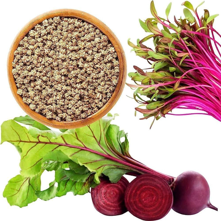 Sugar Beet Seeds