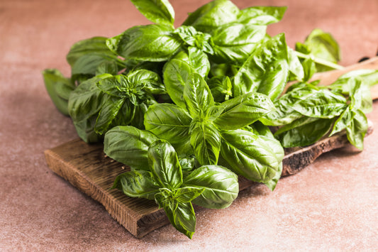 Sweet Basil Herb Seeds for Planting – Heirloom Non-GMO Garden Seeds