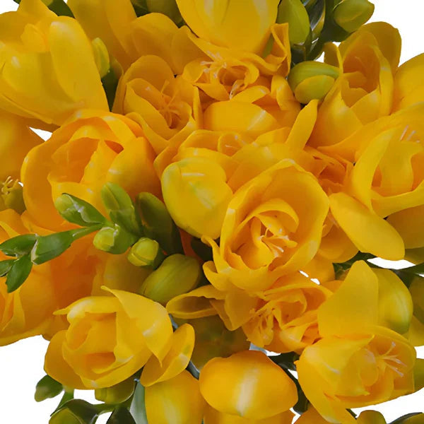 Yellow Sweet flower seeds