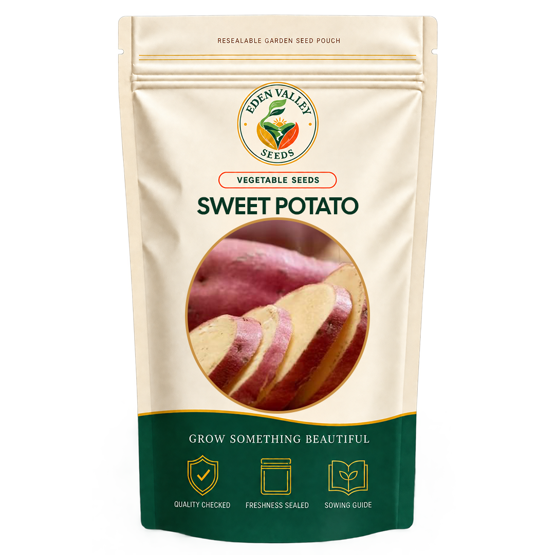 Sweet Potato Vegetable Seeds for planting