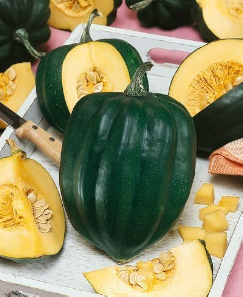 Table King Acorn Squash Seeds