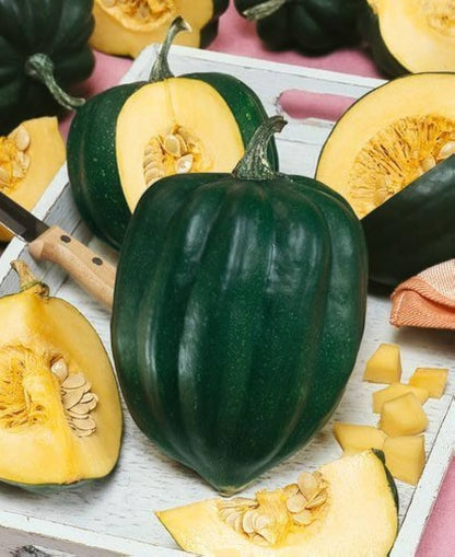 Table King Acorn Squash Seeds