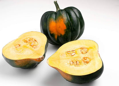 Table King Acorn Squash Seeds for Planting – Heirloom Non-GMO Garden Seeds