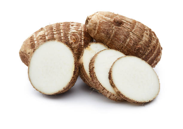 Taro vegetable seeds for planting with lush green taro plants and broad heart-shaped leaves