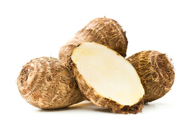 Taro vegetable seeds for planting with lush green taro plants and broad heart-shaped leaves