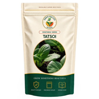Tatsoi Heirloom Seeds with compact green leaves for home vegetable gardens