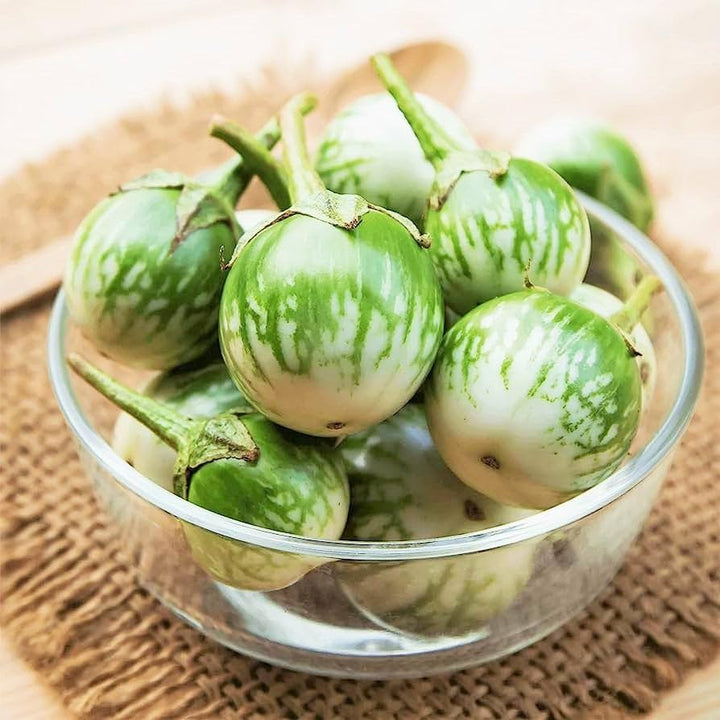 Thai Eggplant Petch Siam Seeds