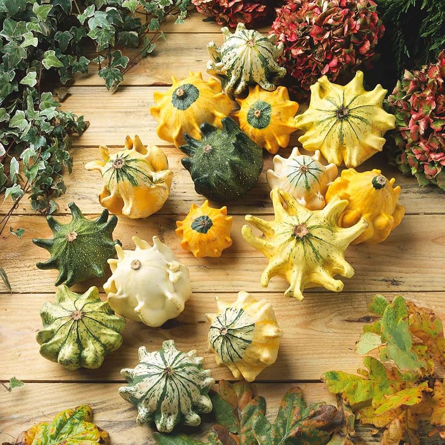 Thorn Gourd Seeds