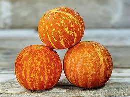 Graines de melon tigre (Cucumis melo) à planter – Semences potagères anciennes non OGM