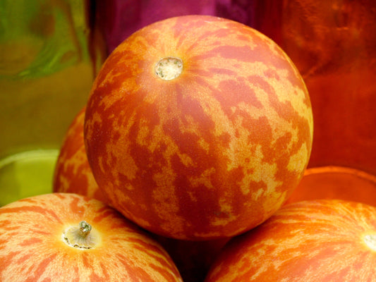 tiger melon seeds