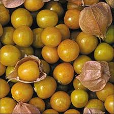 Tomatillo Fruit Seeds for Planting – Heirloom Non-GMO Garden Seeds