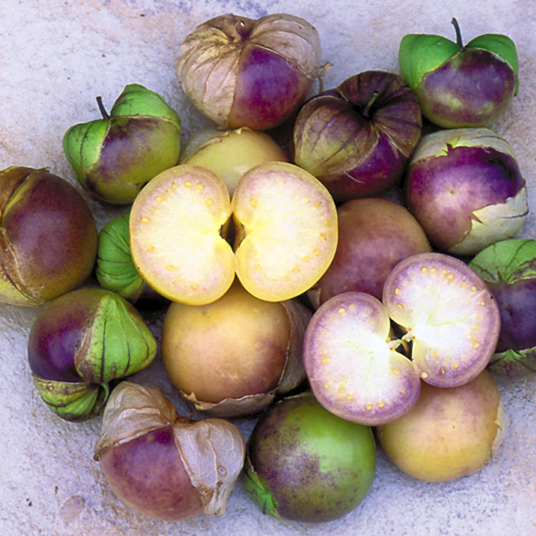 tomatillo fruit seeds