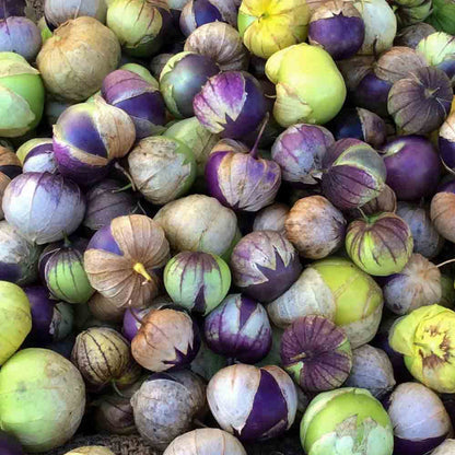 purple tomatillo seeds