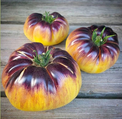 Yellow Black Tomato Seeds for Planting – Heirloom Non-GMO Garden Seeds
