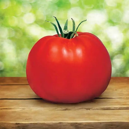 Classic Tomato Vegetable Seeds for Planting – Heirloom Non-GMO Garden Seeds