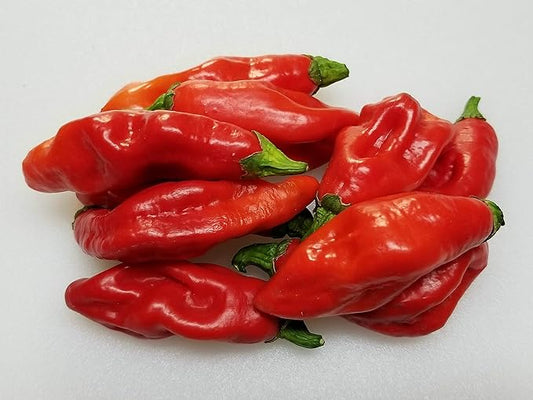 trinidad pimento pepper seeds