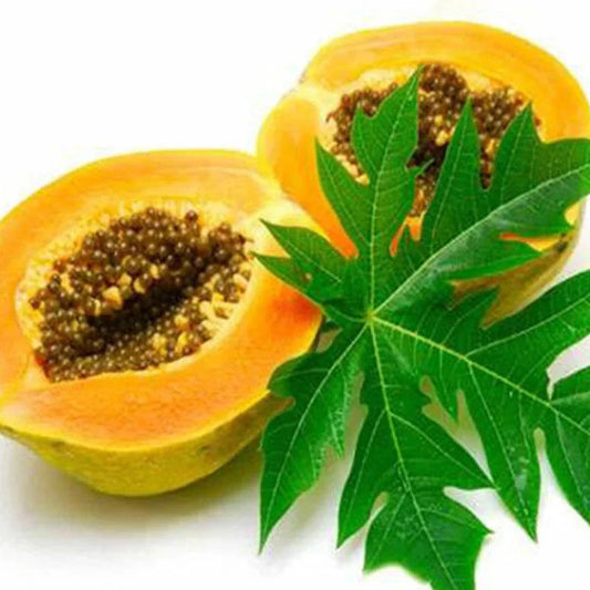 yellow papaya seeds