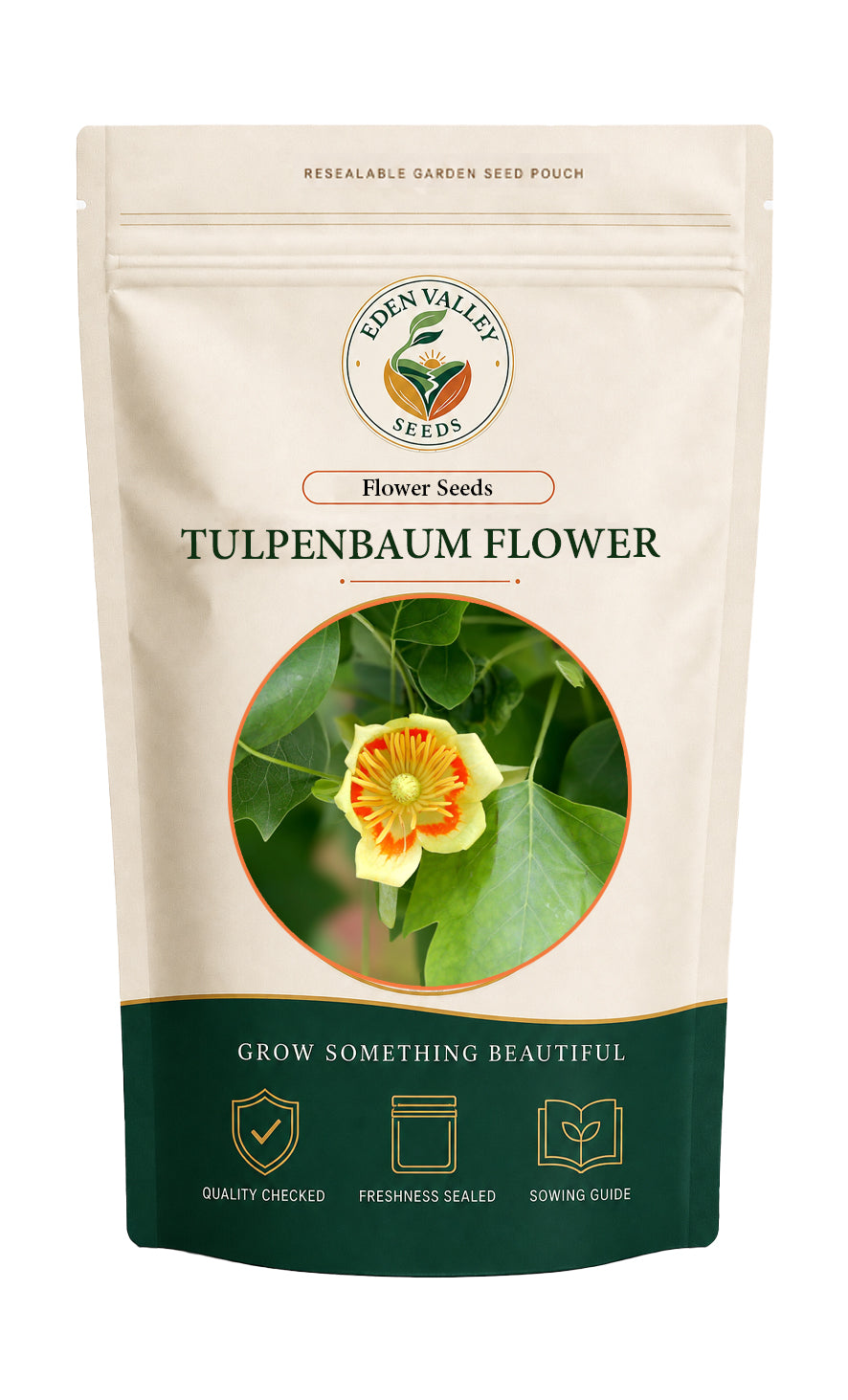 Tulpenbaum flowers blooming in a garden
