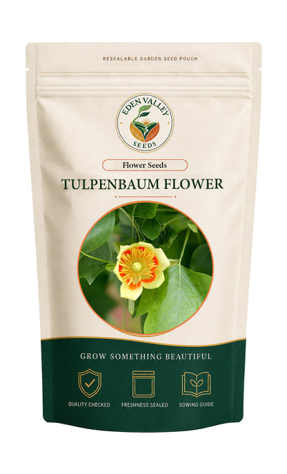 Tulpenbaum flowers blooming in a garden