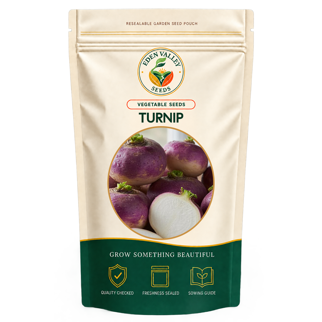 Turnip Vegetable Seeds for home gardens