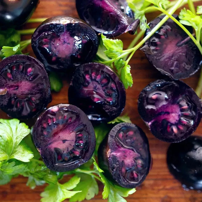 Purple Tomato Seeds for Planting – Heirloom Non-GMO Garden Seeds