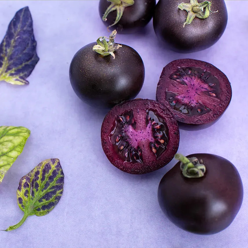 Violet Tomato Seeds