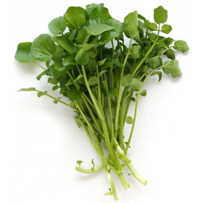 Upland Cress Vegetable Seeds for planting with fresh green peppery leaves