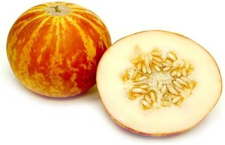 Vietnam Milk Melon Seeds