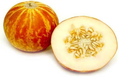 Vietnam Milk Melon Seeds