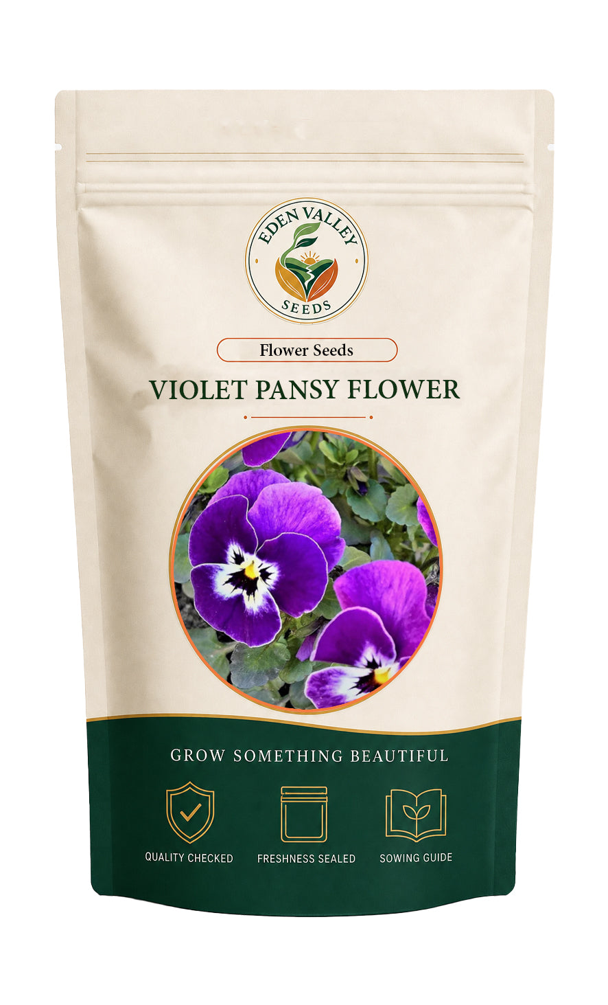 Violet Pansy flowers blooming in a garden