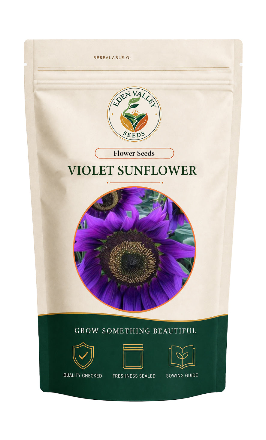 Violet Sunflower plant with vibrant violet petals