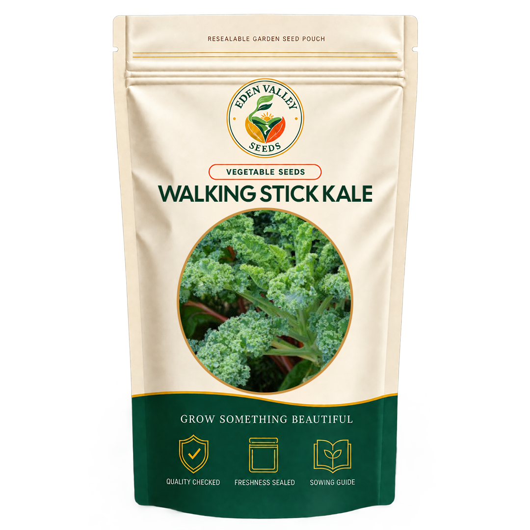Walking Stick Kale Vegetable Seeds for home gardens