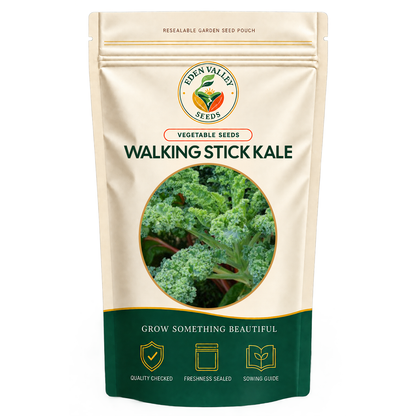 Walking Stick Kale Vegetable Seeds for home gardens
