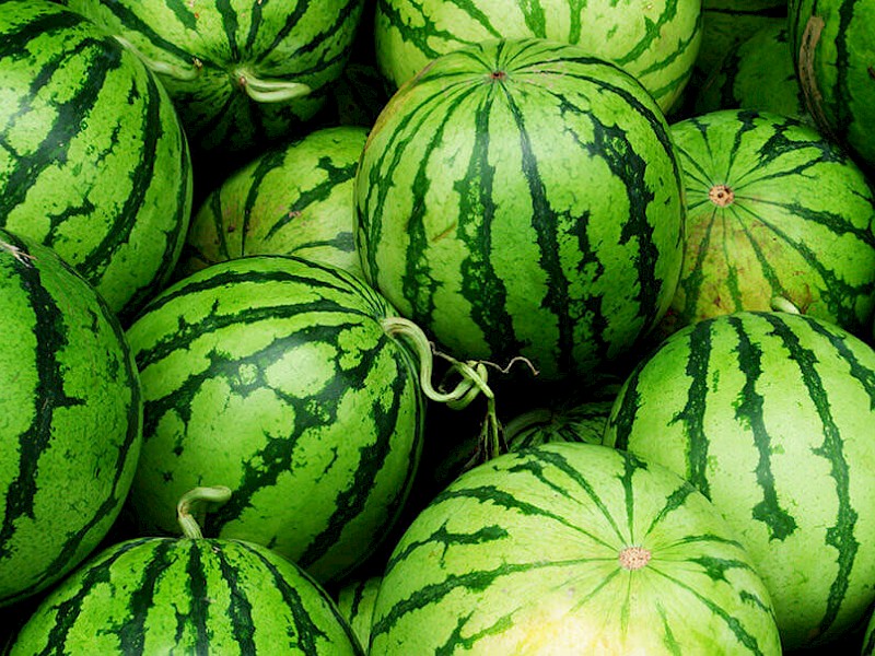 Watermelon Fruit Seeds for Planting – Heirloom Non-GMO Garden Seeds