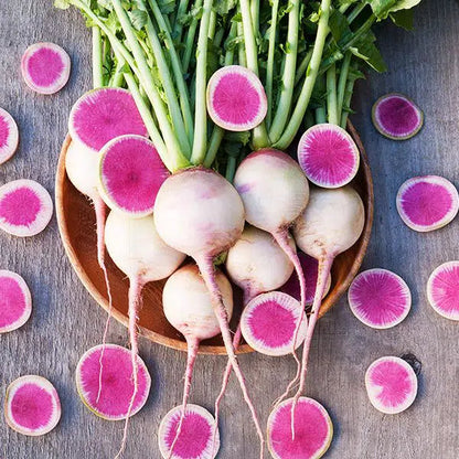 Watermelon Radish Seeds for Planting – Heirloom Non-GMO Garden Seeds