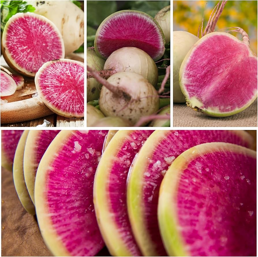 Watermelon Radish Seeds