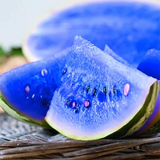 Blue Watermelon Fruit Seeds for Planting