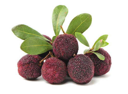 waxberry fruit seeds
