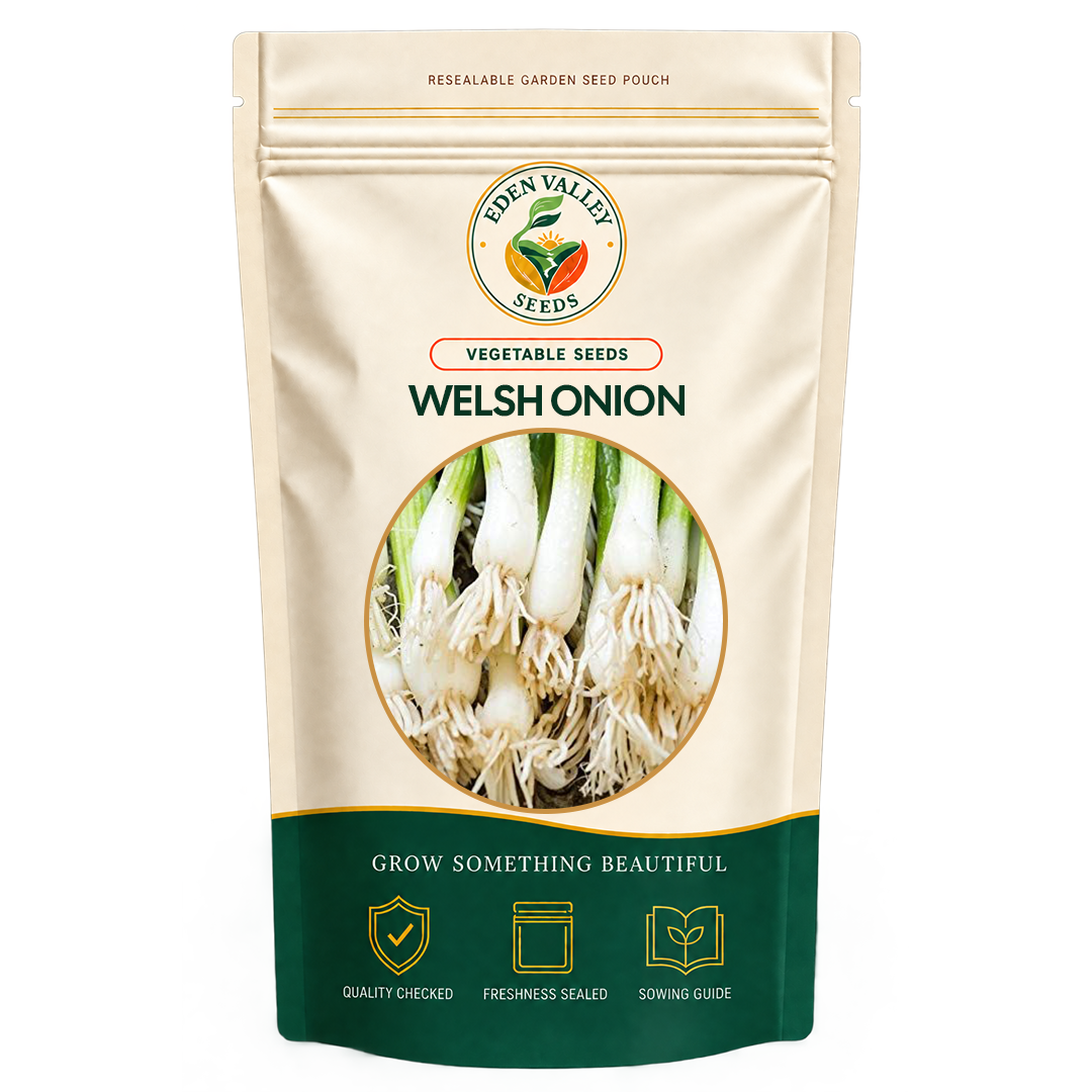 Welsh Onion Seeds for planting